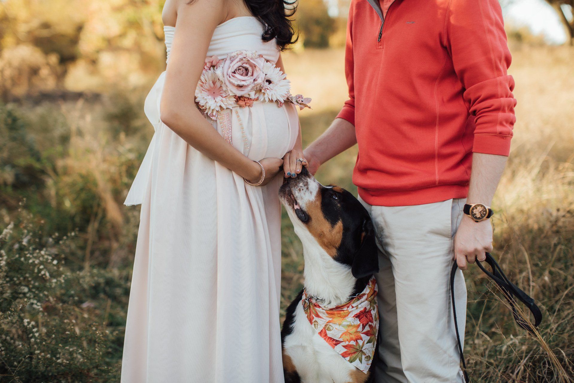 pregnant woman with husband and dog