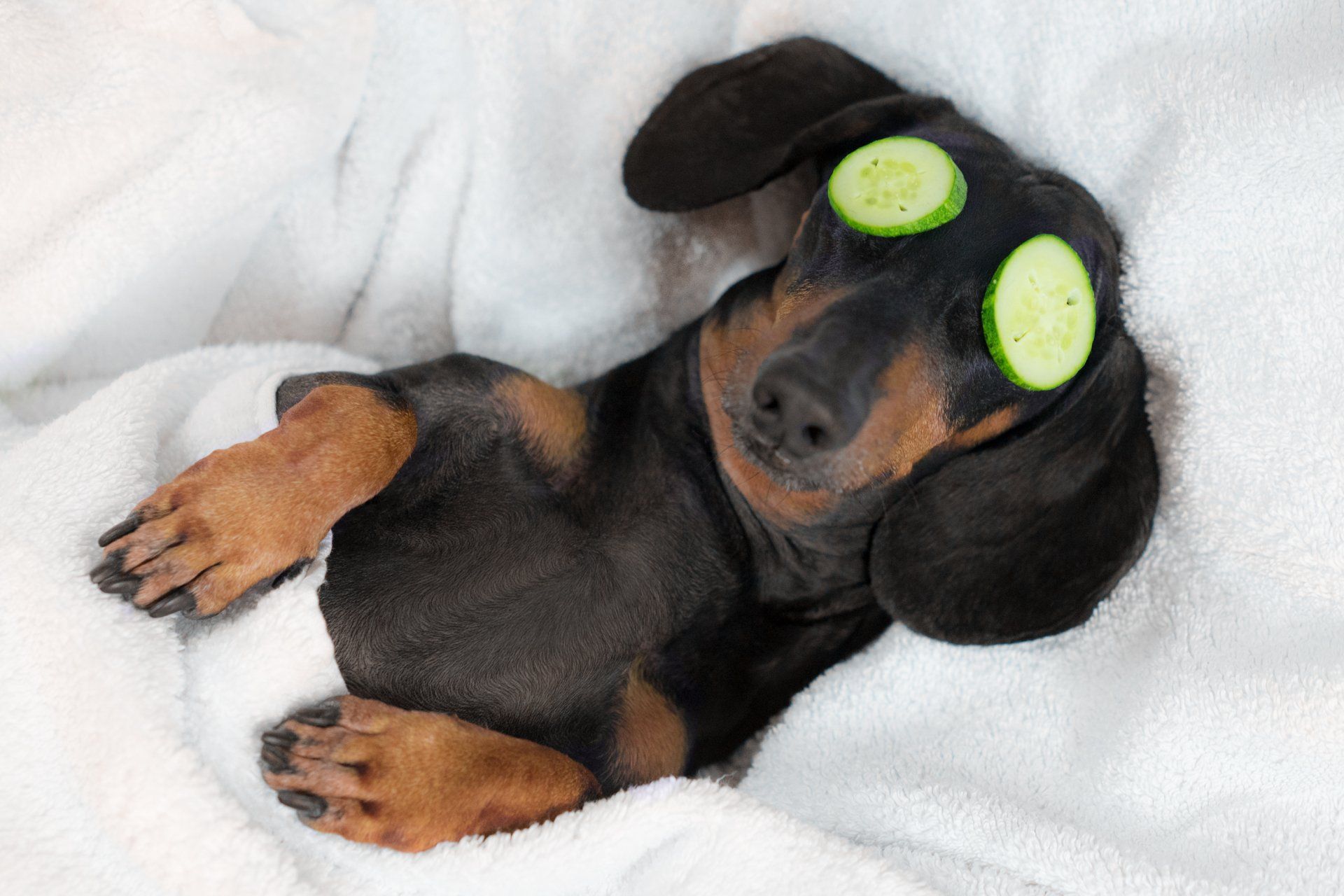 Sleeping puppy Lifestyle Habits That Fight Inflammation