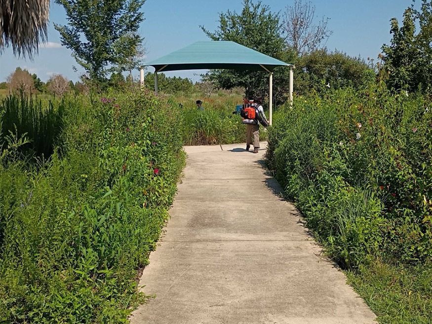 Concrete path through green park vegetation leading to a shaded bench area with a person in the distance