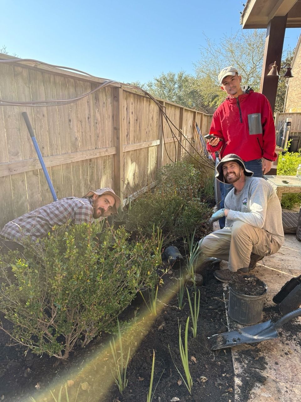 Three people gardening beside a wooden fence, trimming overgrown plants in a sunny yard.