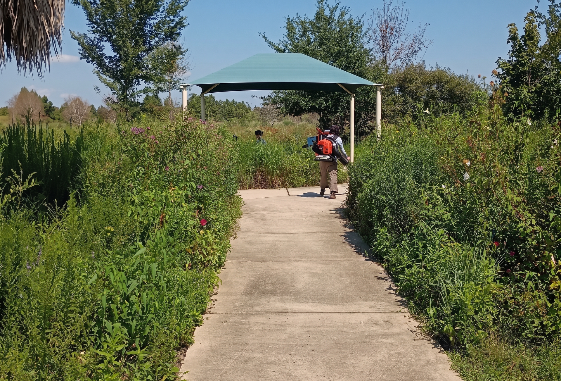 Concrete path through green bushes toward a shaded gazebo, with a person sitting under it.