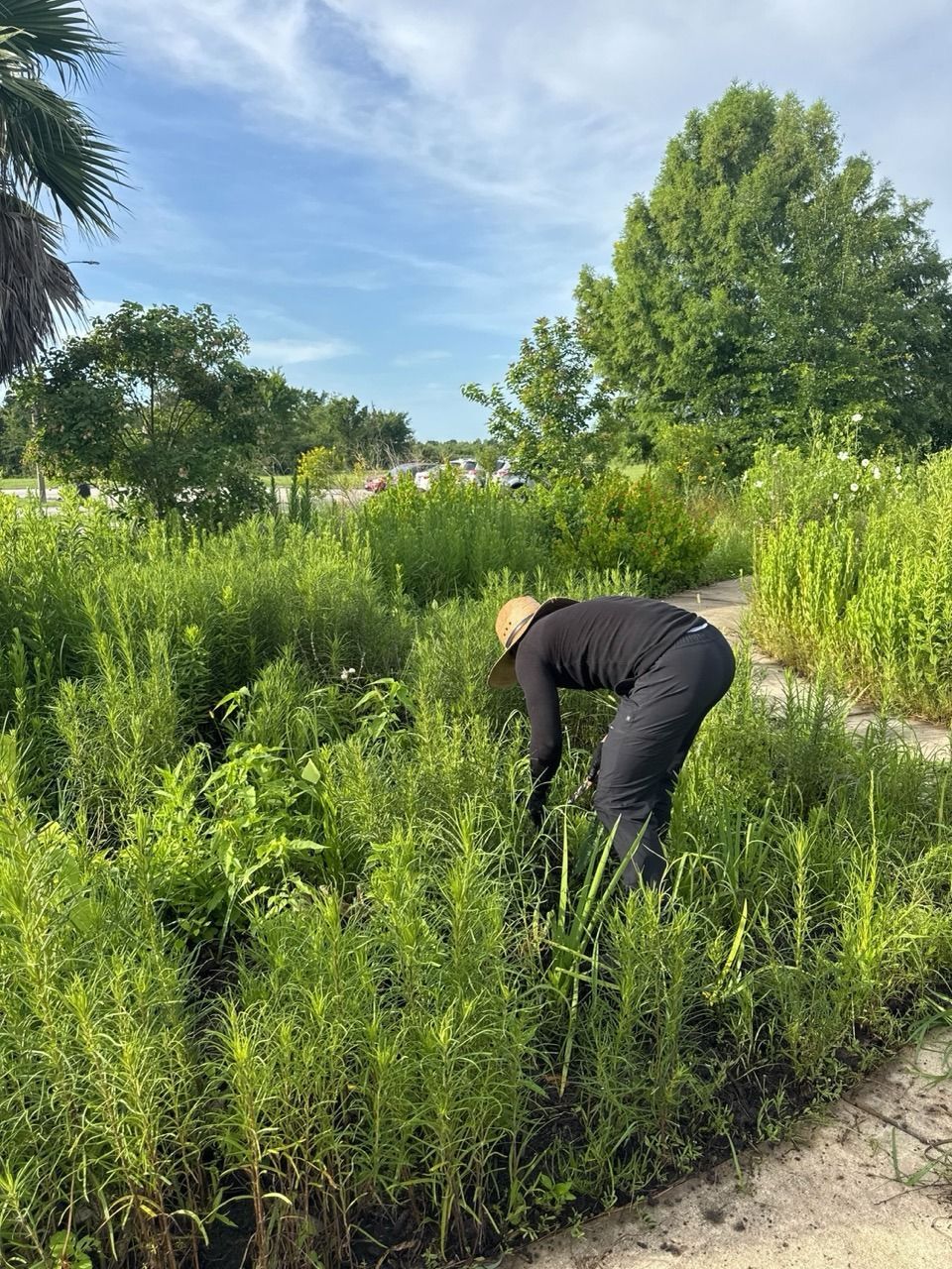 Person bending over in a lush green field under a blue sky