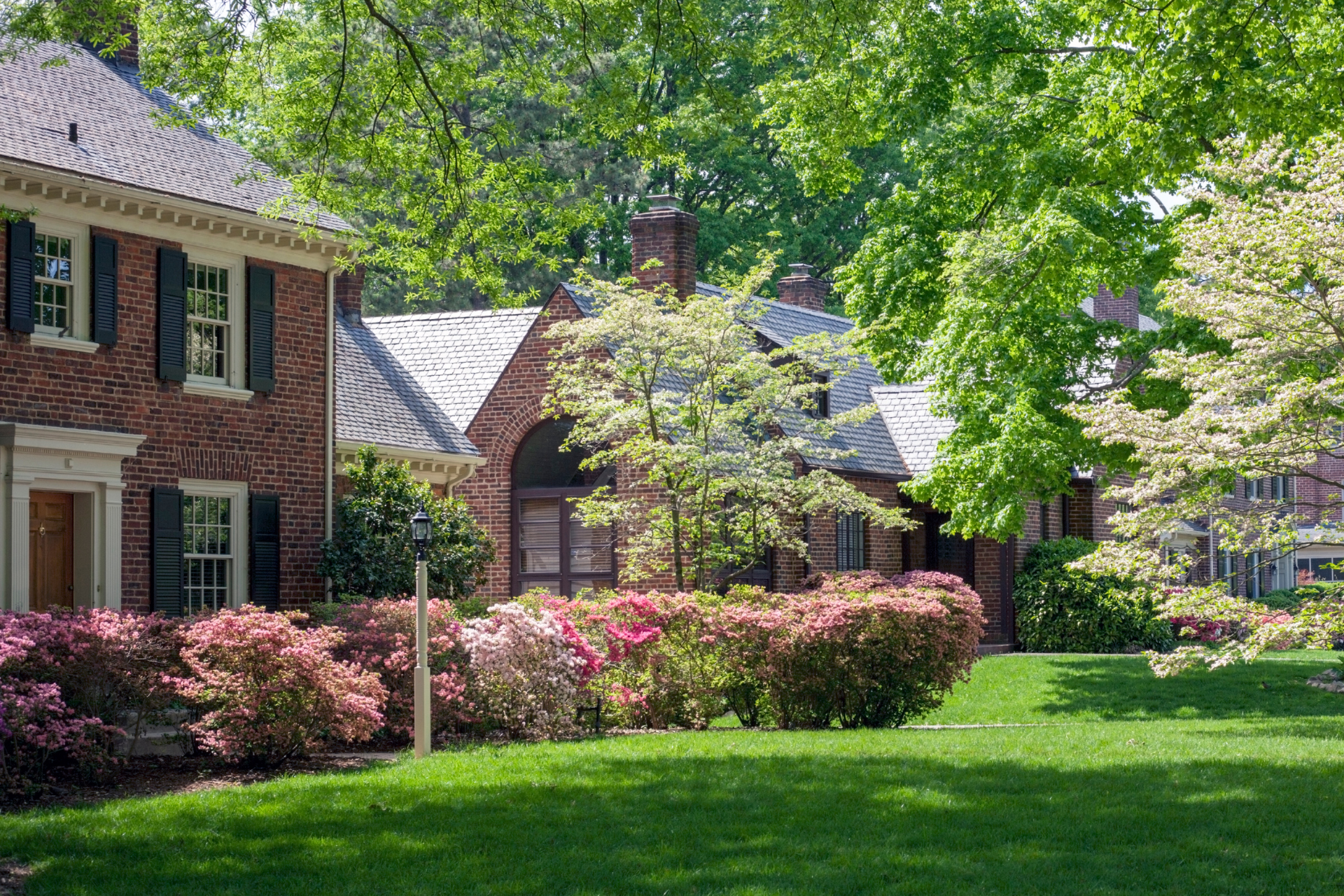 Brick house with black shutters, pink shrubs, and a green lawn under leafy trees