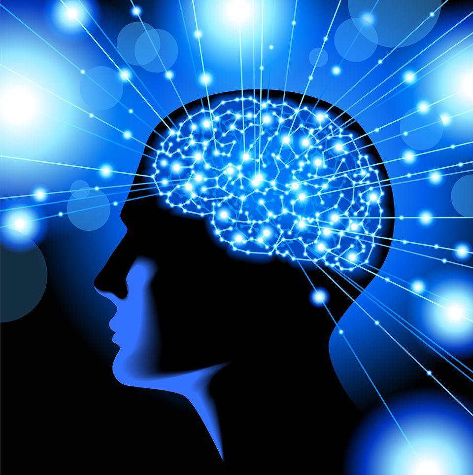 a graphic of a brain that is fully engaged in learning.