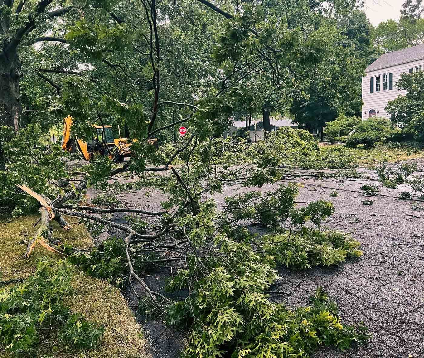 Storm Damage in Residential Area — Clinton, WI — T's Tree Service