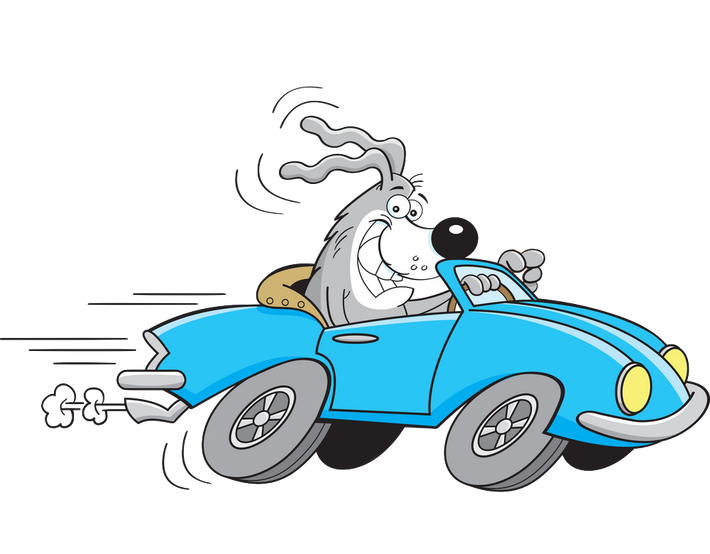 home [www.lilys4paws.ie]