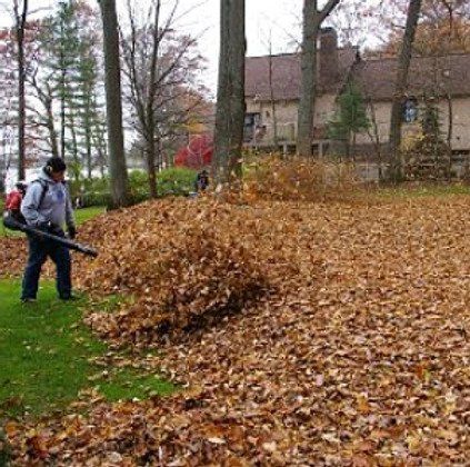 A man is blowing leaves in a yard with a leaf blower.