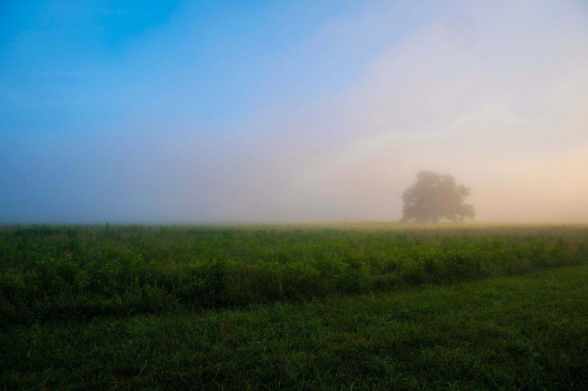Georgia Mountain Sunset