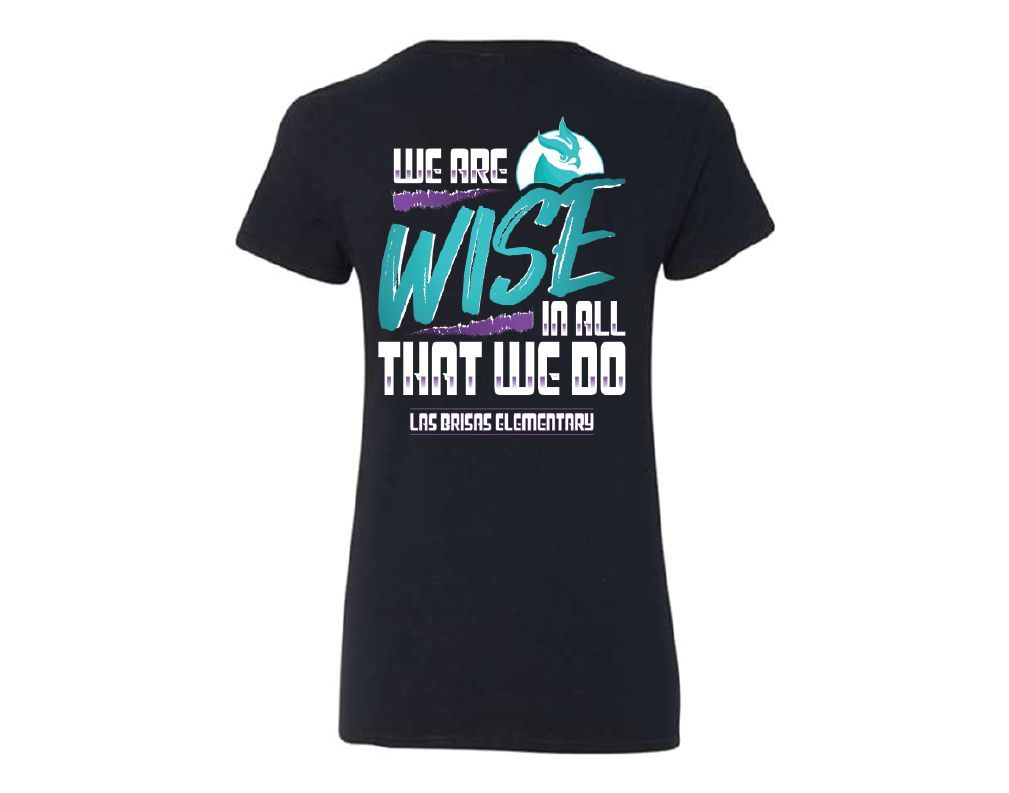 Women's V-Neck - We Are Wise Spirit Shirt