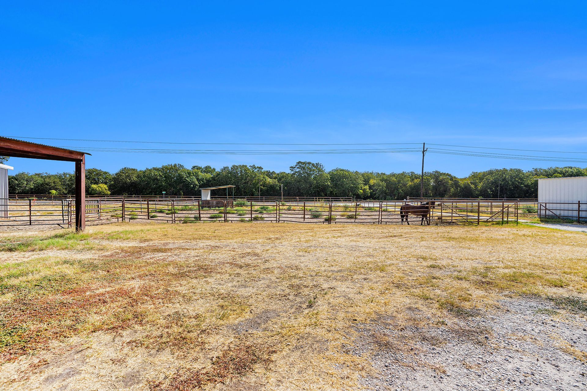 A horse is standing in a dirt field next to a fence.