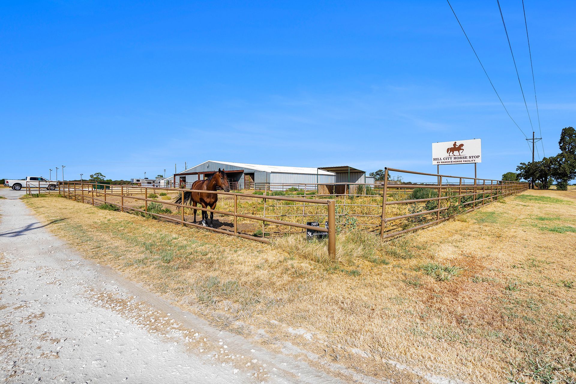 A horse is standing in a field next to a dirt road.
