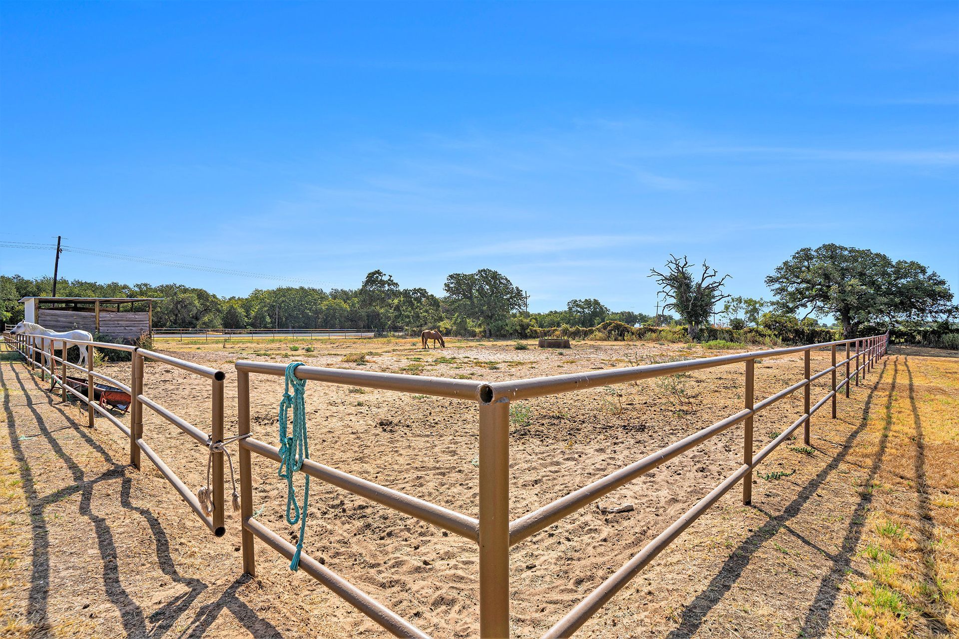 A fence surrounds a dirt field with trees in the background.