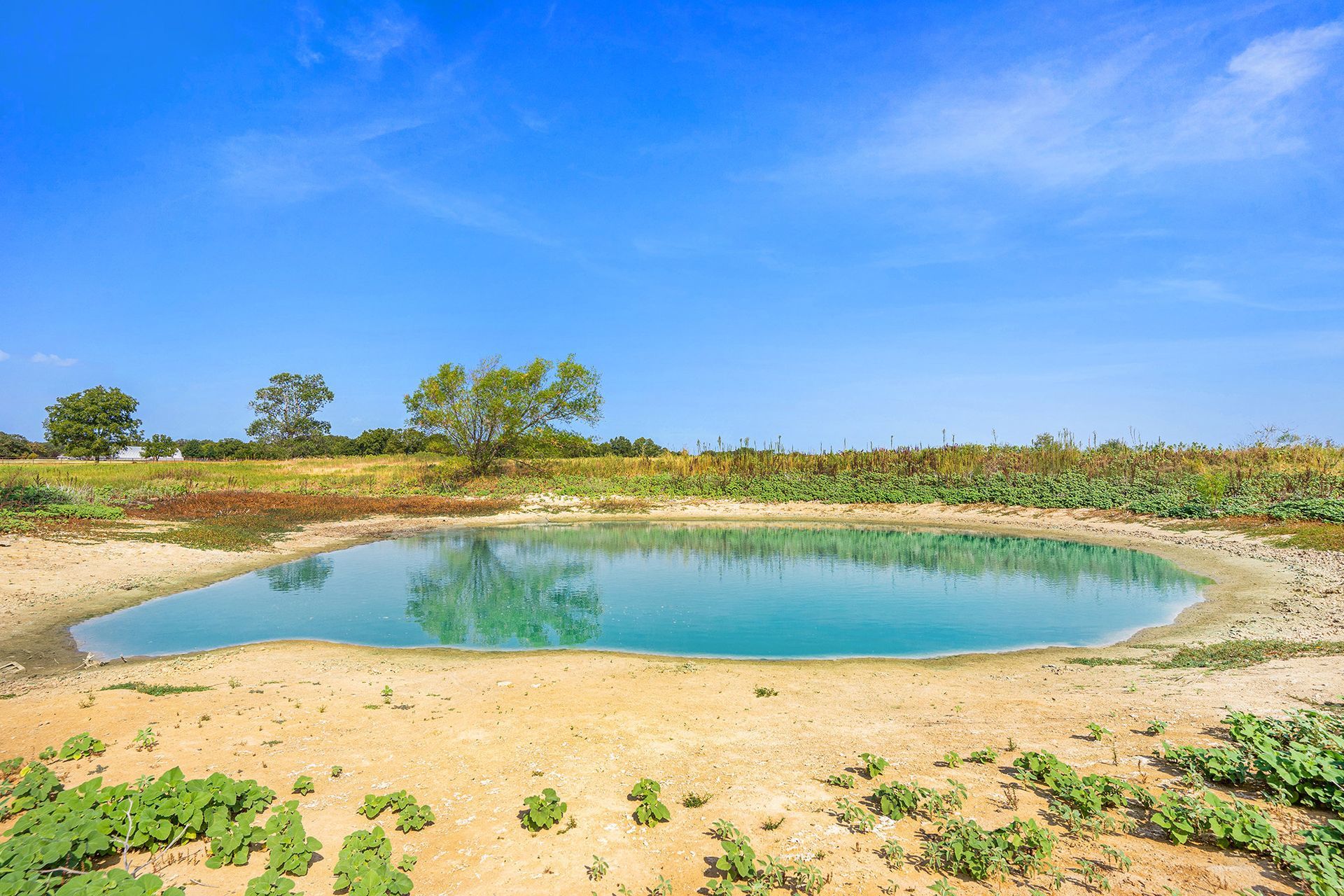 There is a small pond in the middle of the desert.