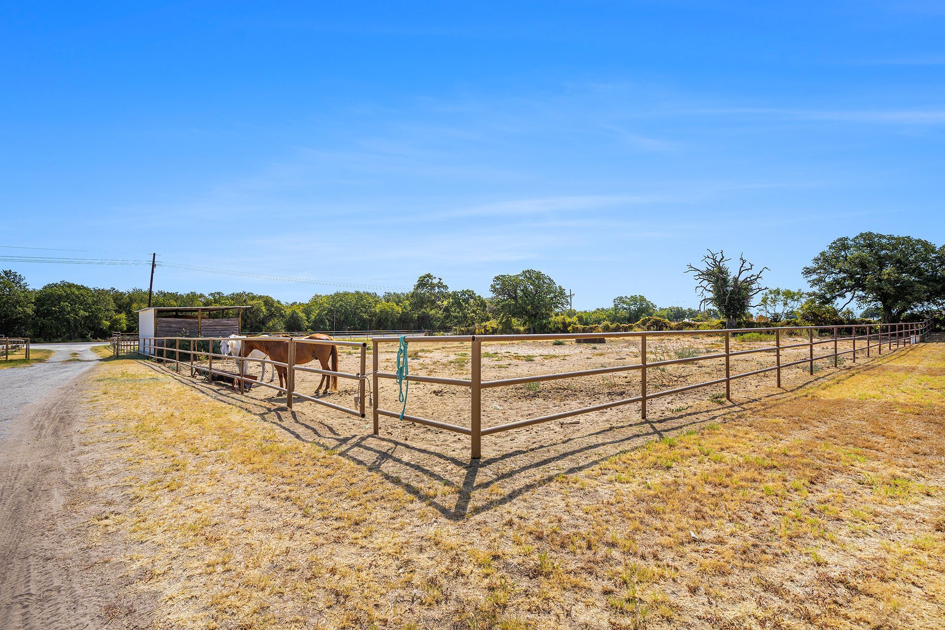 A horse is standing in a fenced in area next to a dirt road.