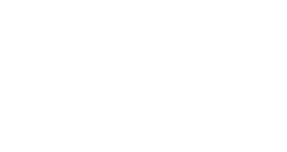 insurance brokers of mn logo