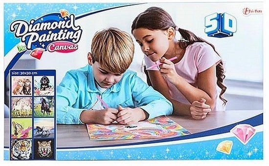 Diamond Painting Op Gespannen Canvas