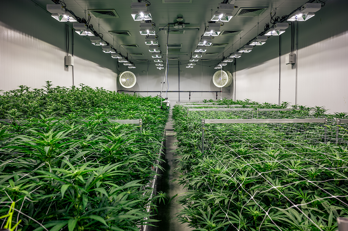 Howe Security Cannabis Cultivation Center