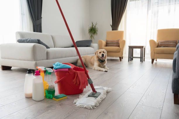 Red mop and cleaning supplies on wood floor, with a golden retriever dog and living room furniture.
