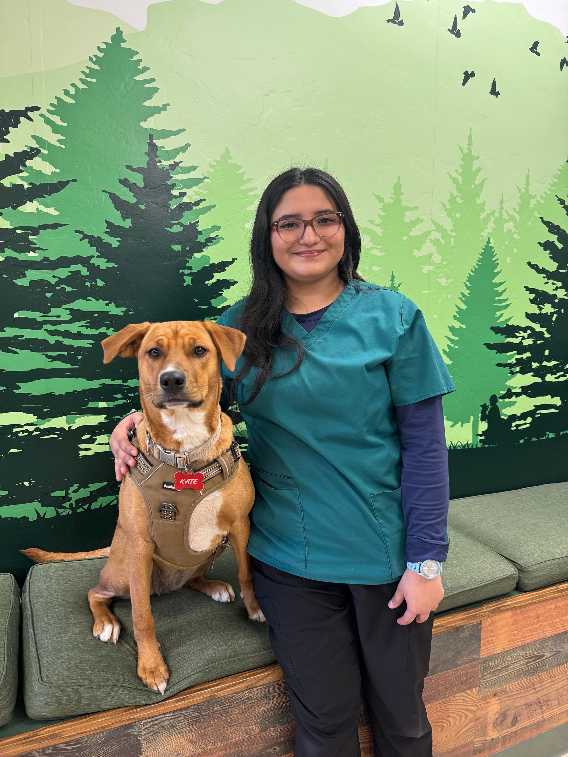 A person in scrubs and a dog seated on a bench in front of a forest mural.