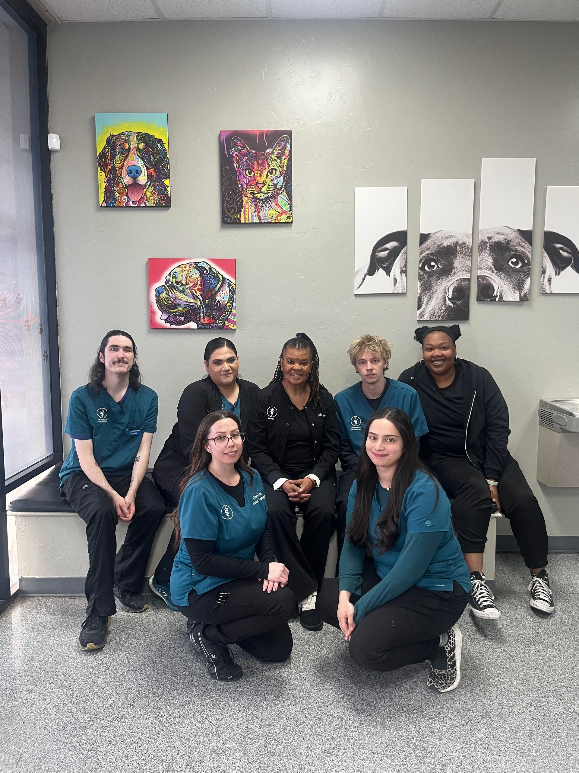 Veterinary clinic staff pose in front of dog art; all wearing teal scrubs and black pants. Veterinary clinic staff pose in front of dog art; all wearing teal scrubs and black pants.