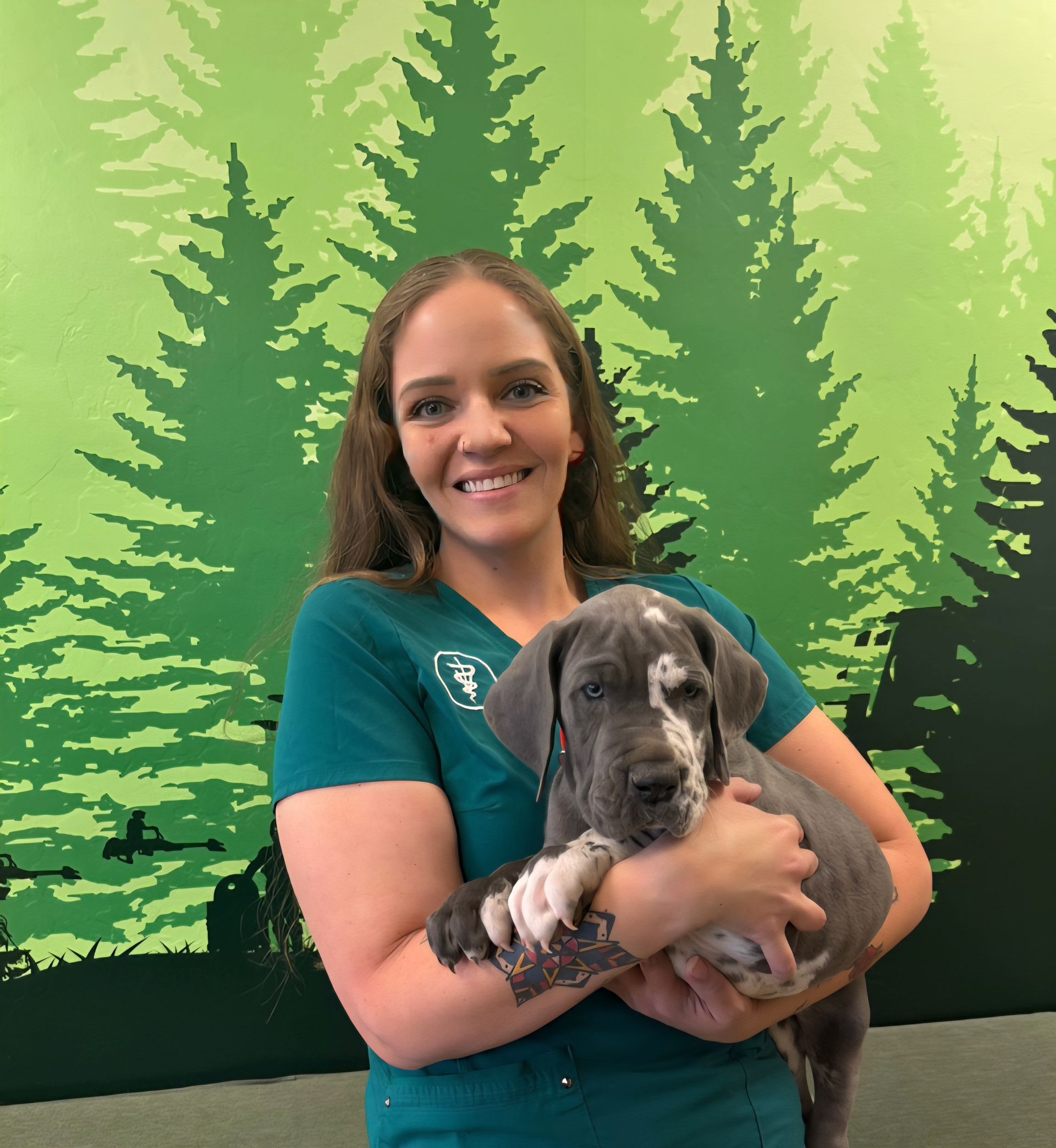 Woman holding a gray and white Great Dane puppy. They both smile in front of a green forest mural.