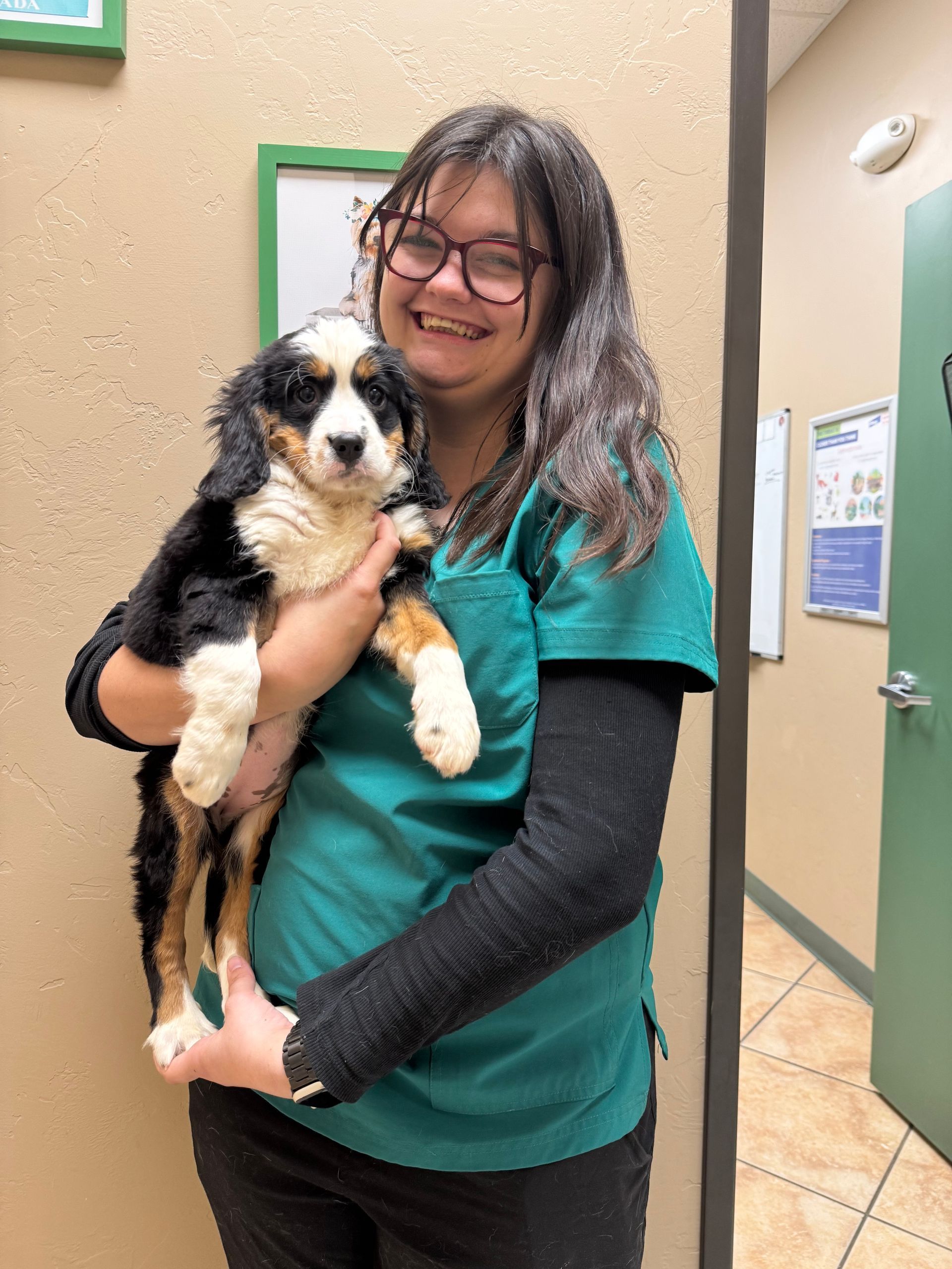 Woman in green scrubs holds a Bernese Mountain Dog puppy; both smiling in a clinic setting.