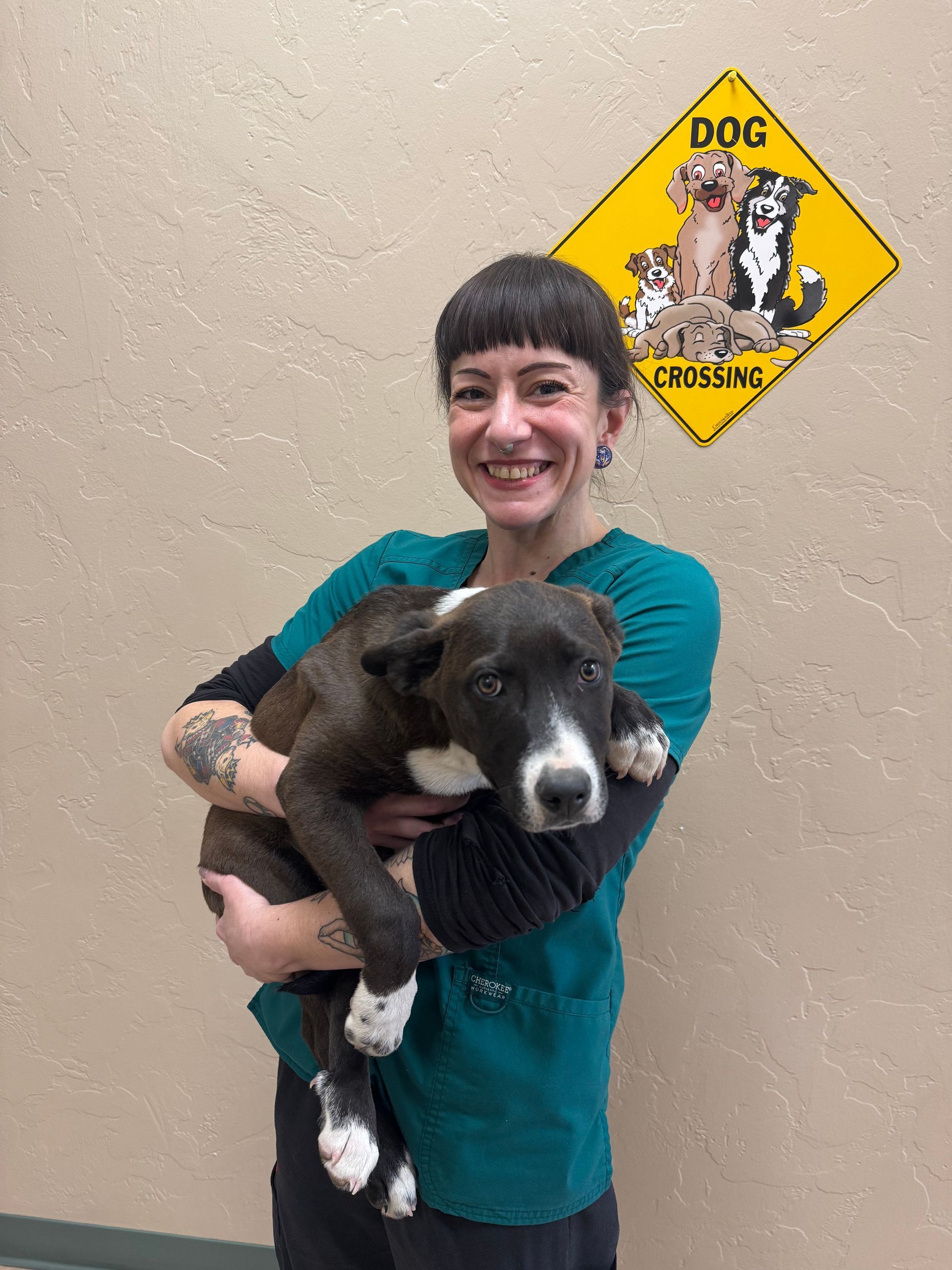 Woman in teal scrubs holding a black and white puppy near a Dog Crossing sign; beige wall.