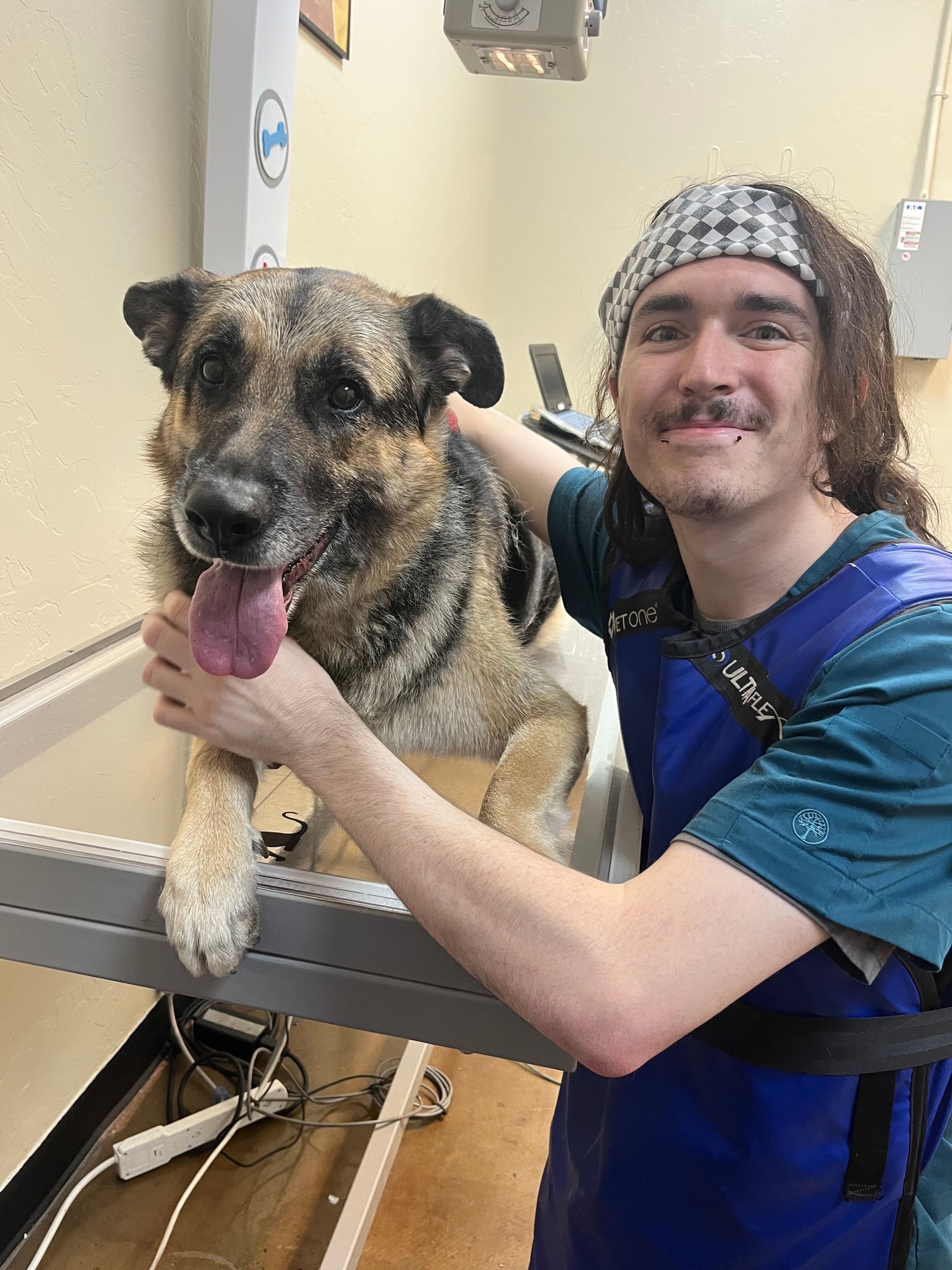 Man petting a large German Shepherd dog at a grooming table. Both are smiling. Man petting a large German Shepherd dog at a grooming table. Both are smiling.