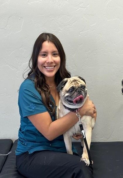 Samantha — Tucson, AZ — Animal Birth Control of Tucson Inc.