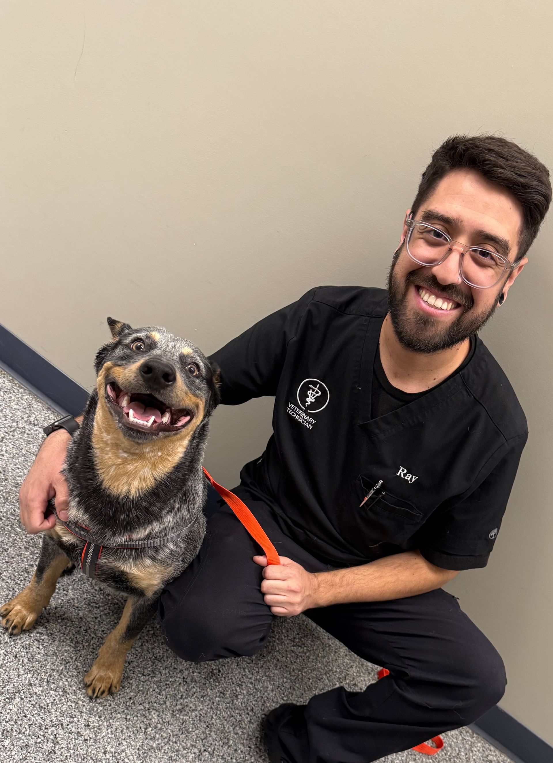 Ray — Tucson, AZ — Animal Birth Control of Tucson Inc. Ray — Tucson, AZ — Animal Birth Control of Tucson Inc.