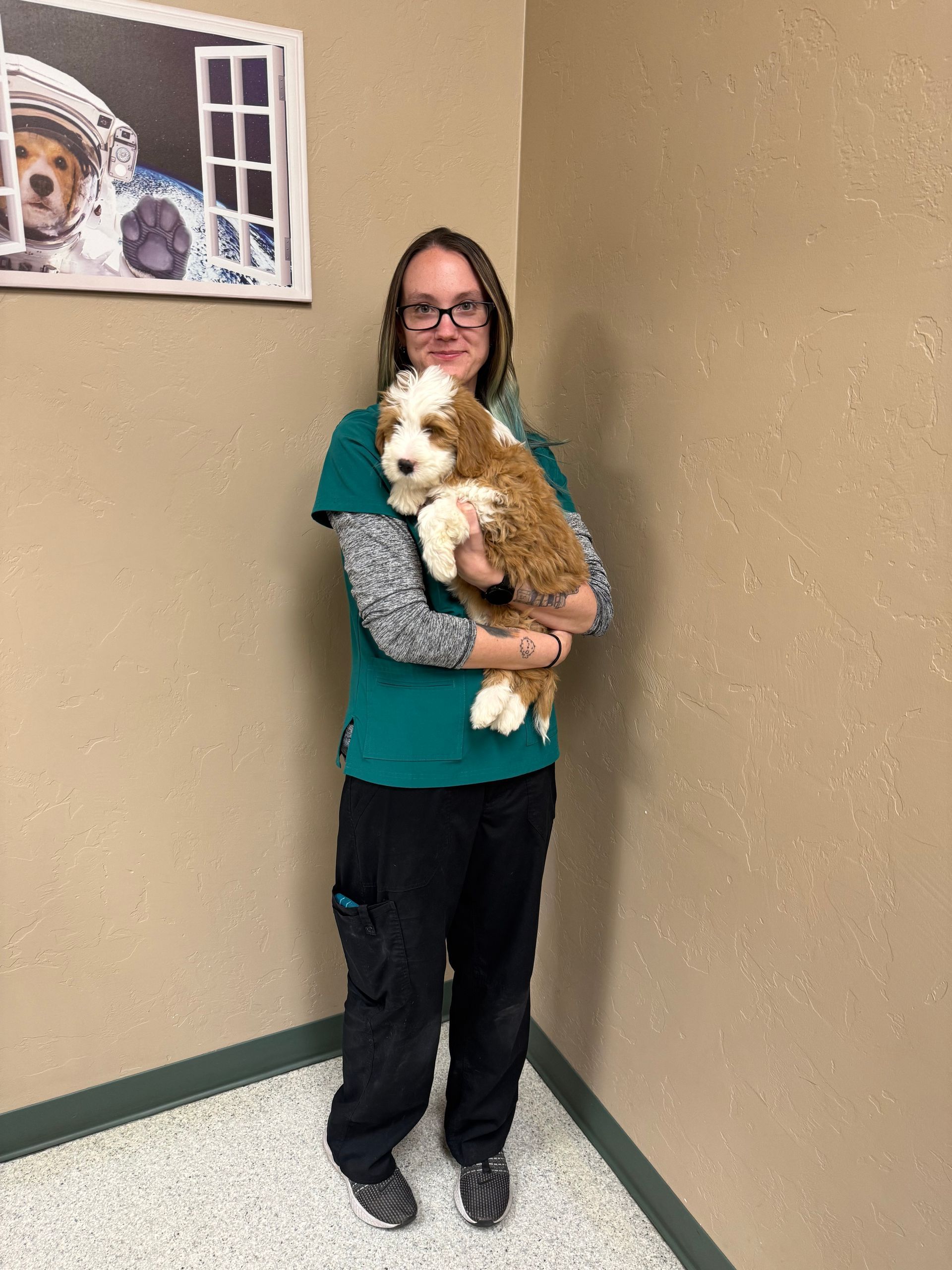 Woman in teal scrubs holds a fluffy, brown and white puppy. Corner of a room with a painting of a dog in the background.
