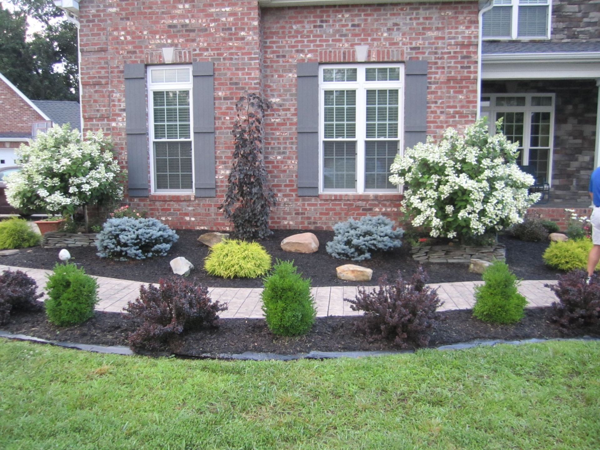 Neatly manicured garden bed in front of a brick house with various shrubs and blooming white flowers