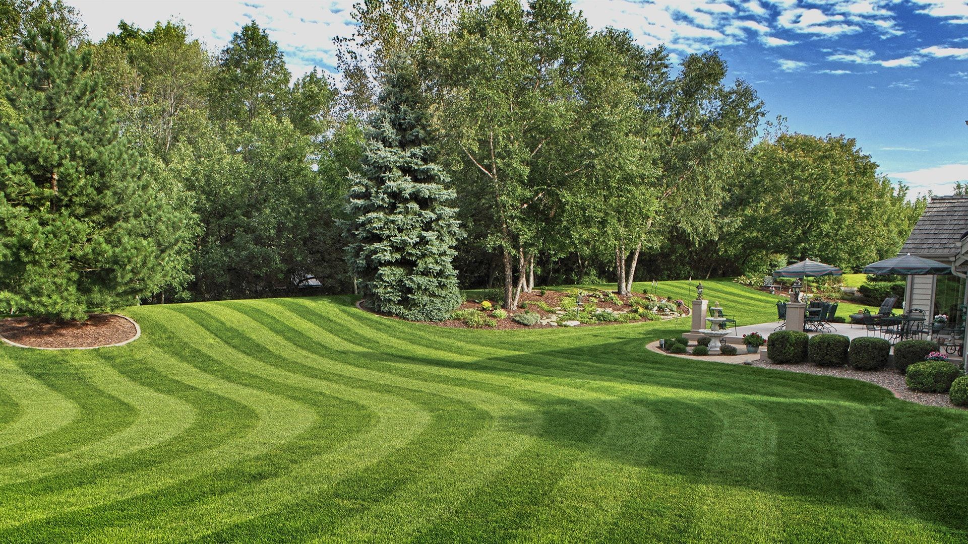 Immaculately striped lawn of a backyard with a variety of trees and landscaped garden beds