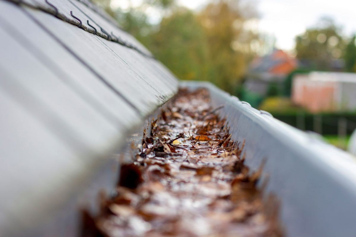 clogged gutters