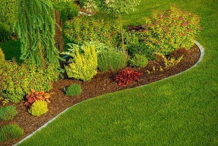 Curved garden bed with colorful shrubs beside a neatly mowed green lawn