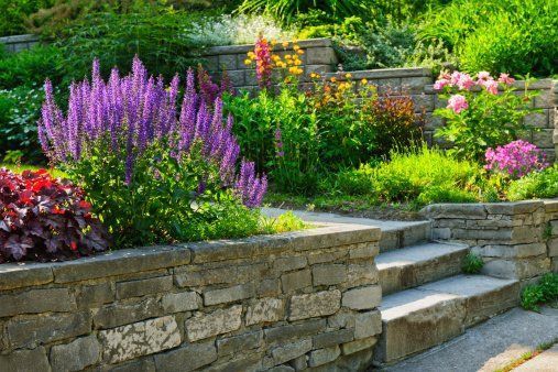 Stone garden terrace with purple and pink flowers and steps leading up a lush green slope