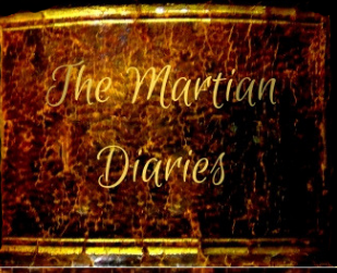 Brown leather  background  of old diary with gold lettering saying 