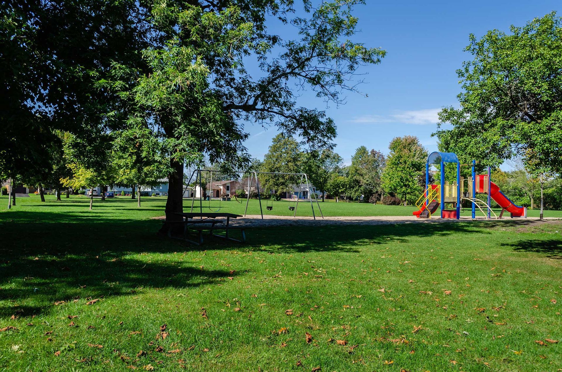 A park with a playground in the middle of it.