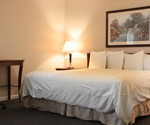 A hotel room with a king size bed and a picture on the wall above it.