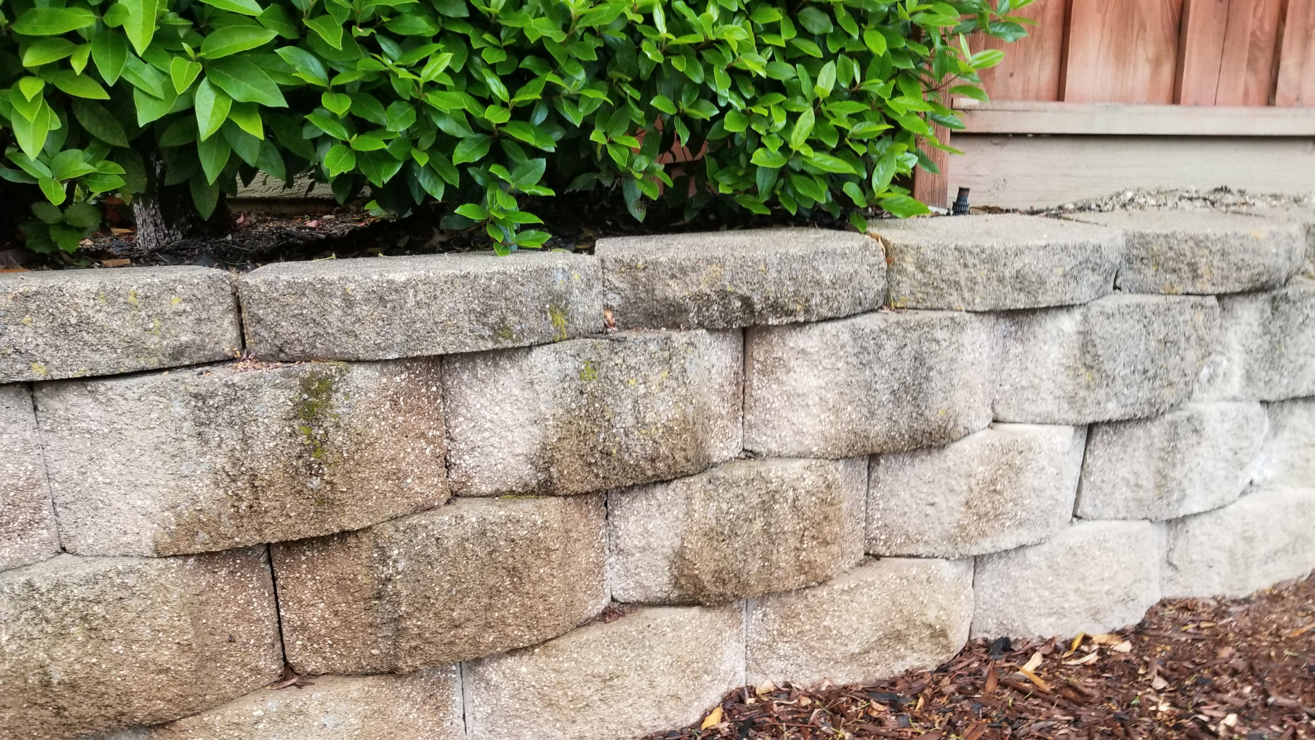 A stone wall with a bush in the background and a wooden fence in the background.