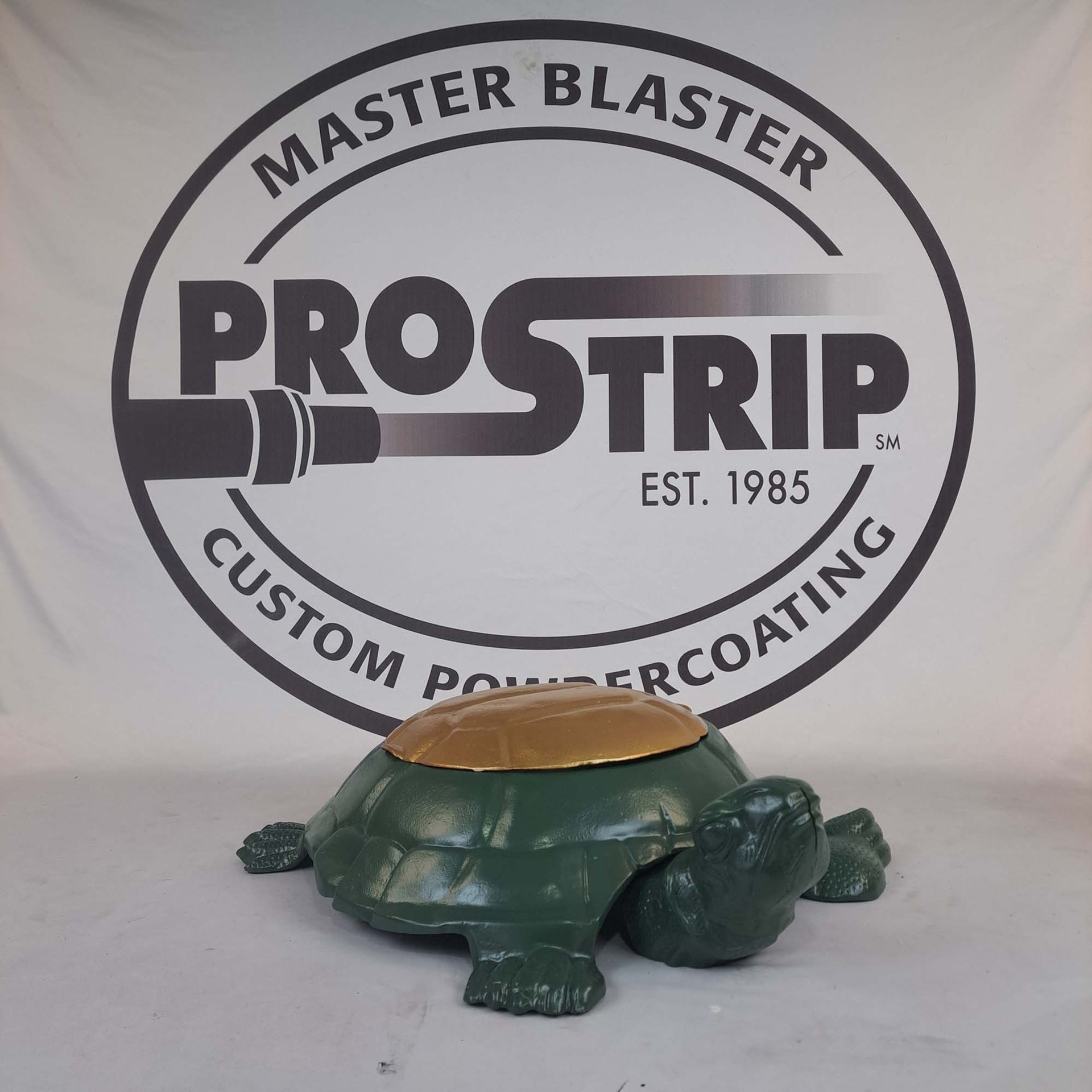 A green turtle is sitting in front of a master blaster prostrip logo