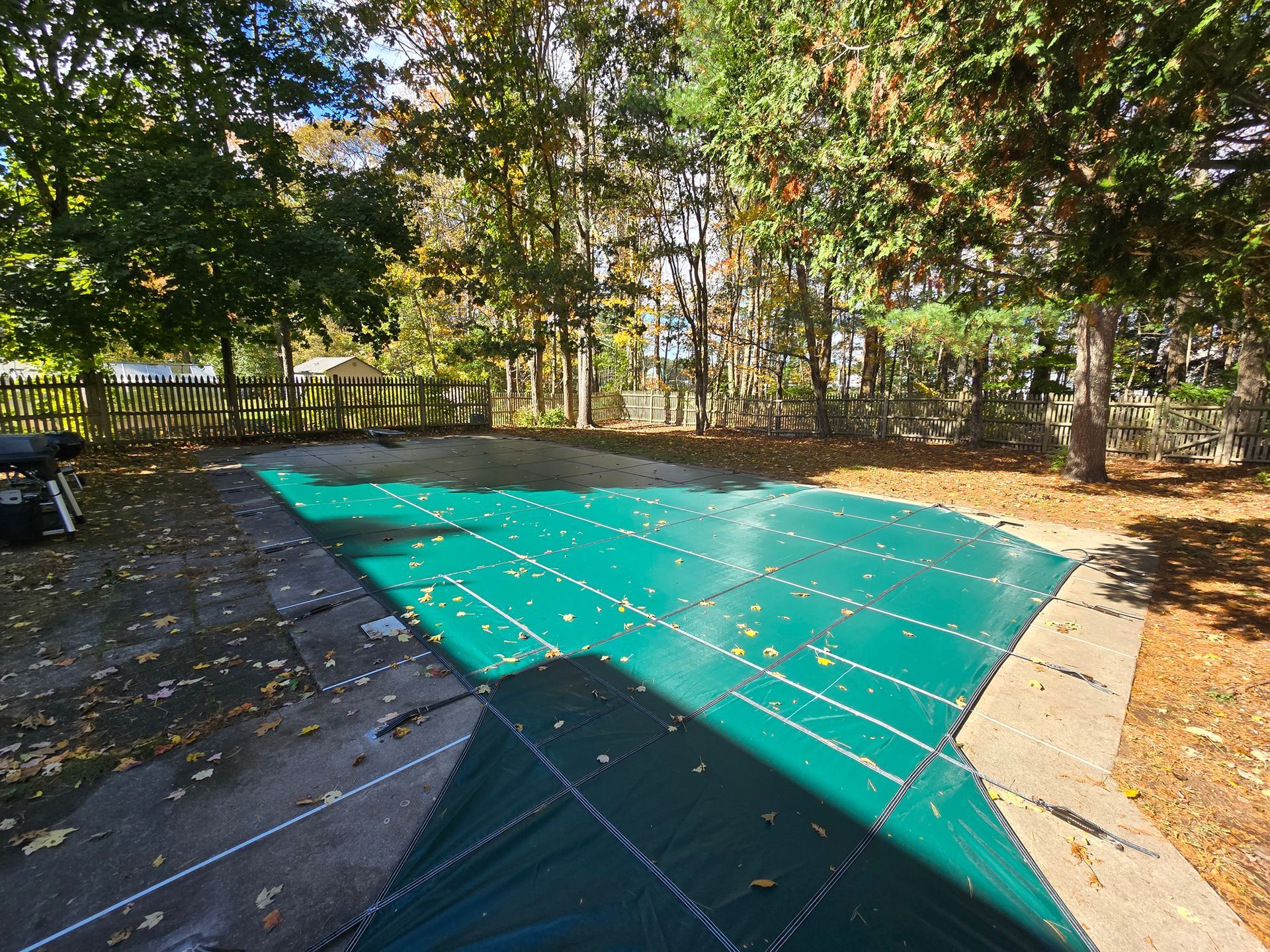 A swimming pool with a green cover surrounded by trees