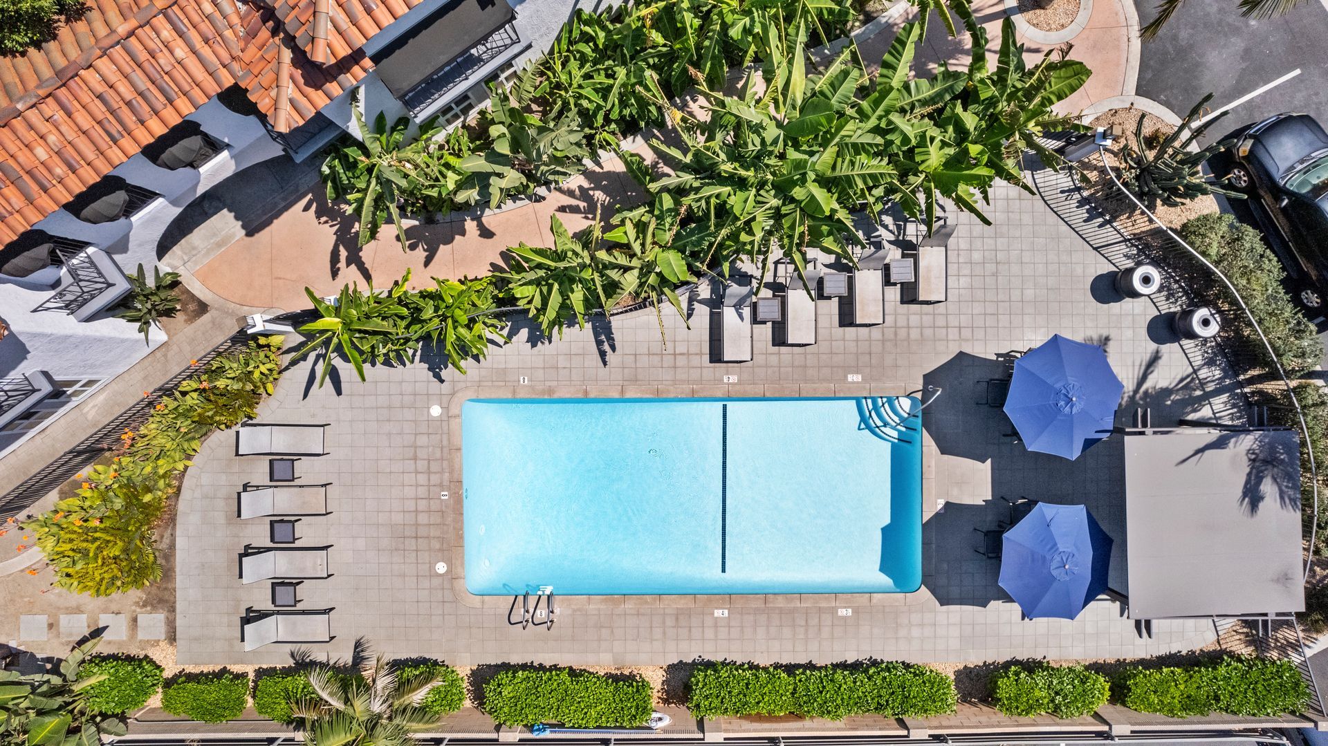 overhead view of pool and umbrellas