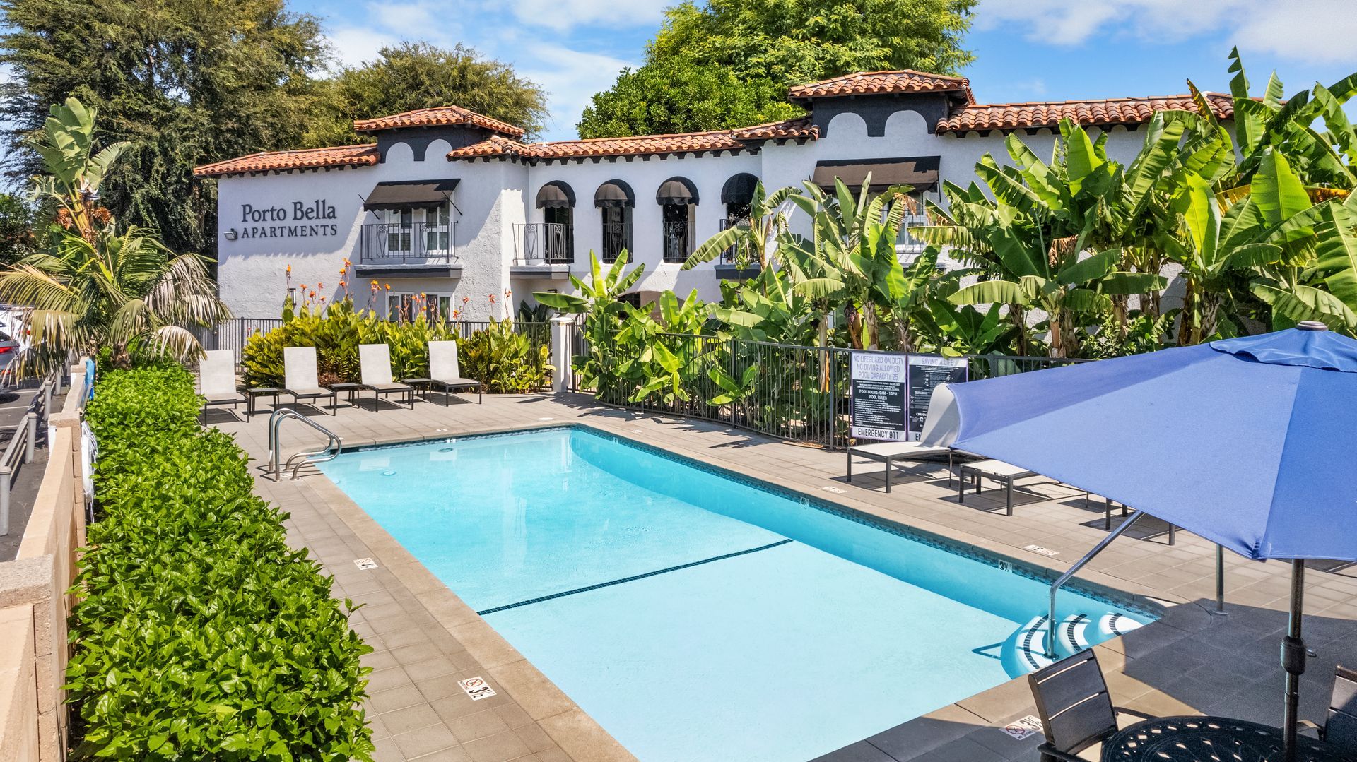 Swimming pool and lounge chairs