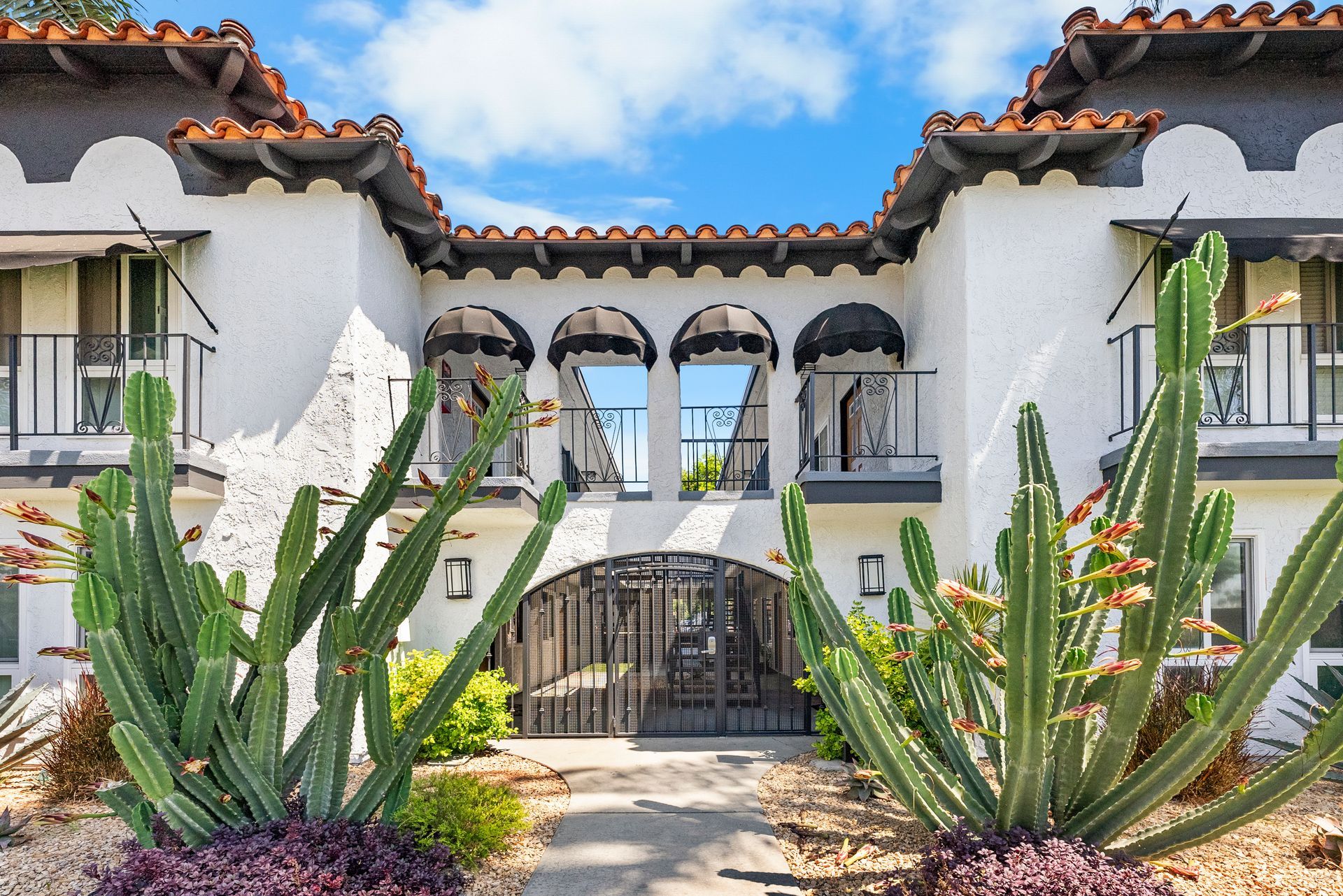 building exterior with awnings and cacti