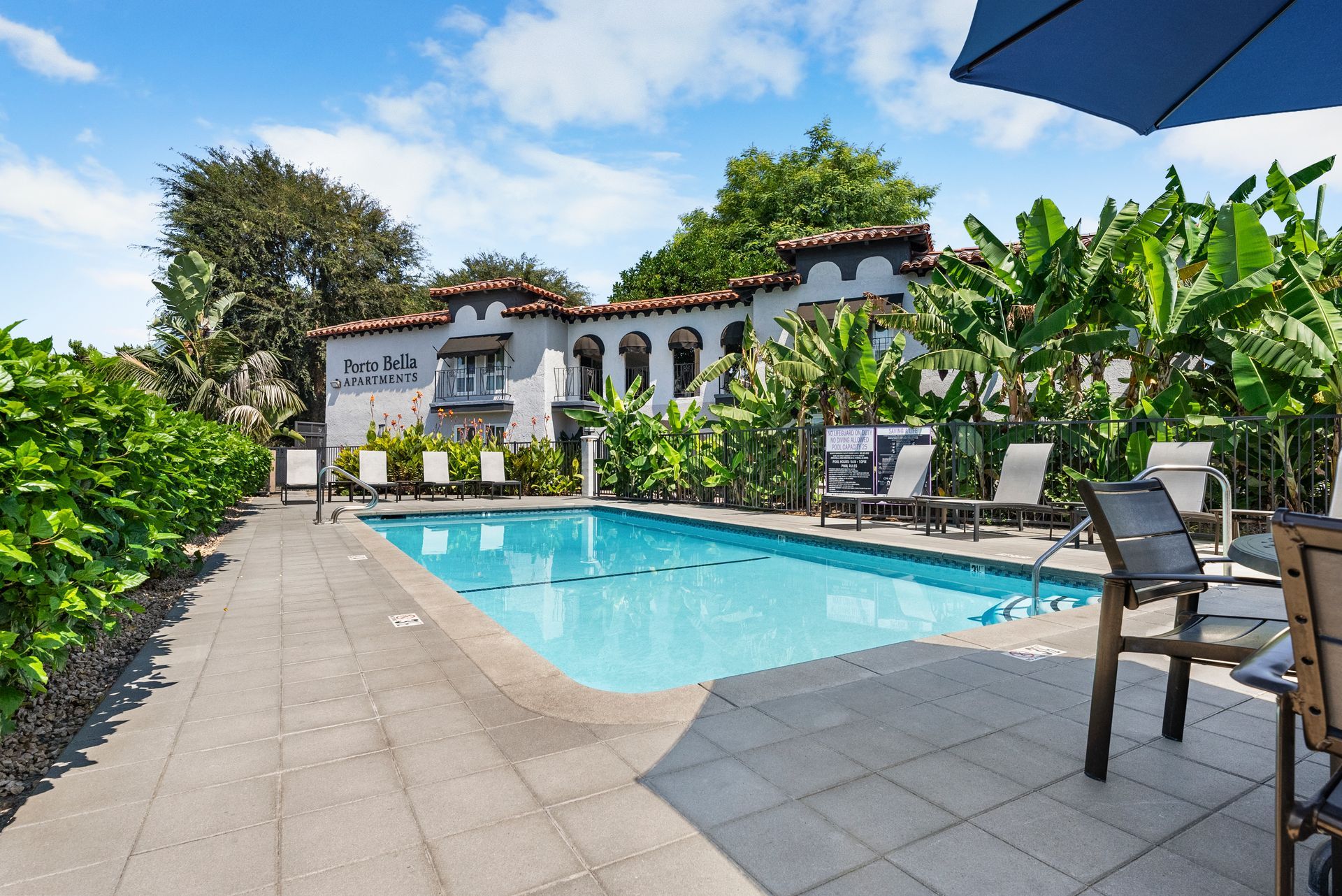 swimming pool and lounge chairs
