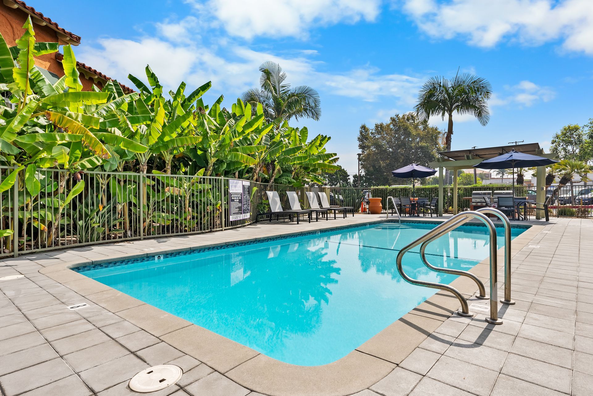 Pool and trees