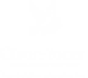 white logo copy