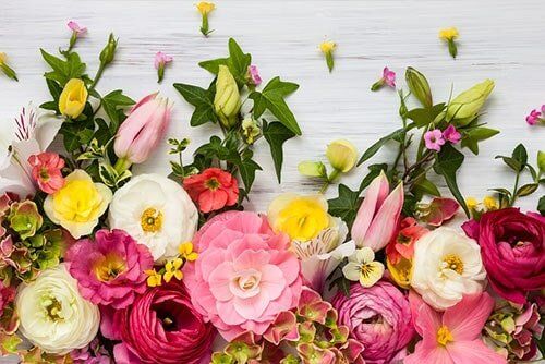 Best Flowers — Sarina Florist in Sarina, QLD