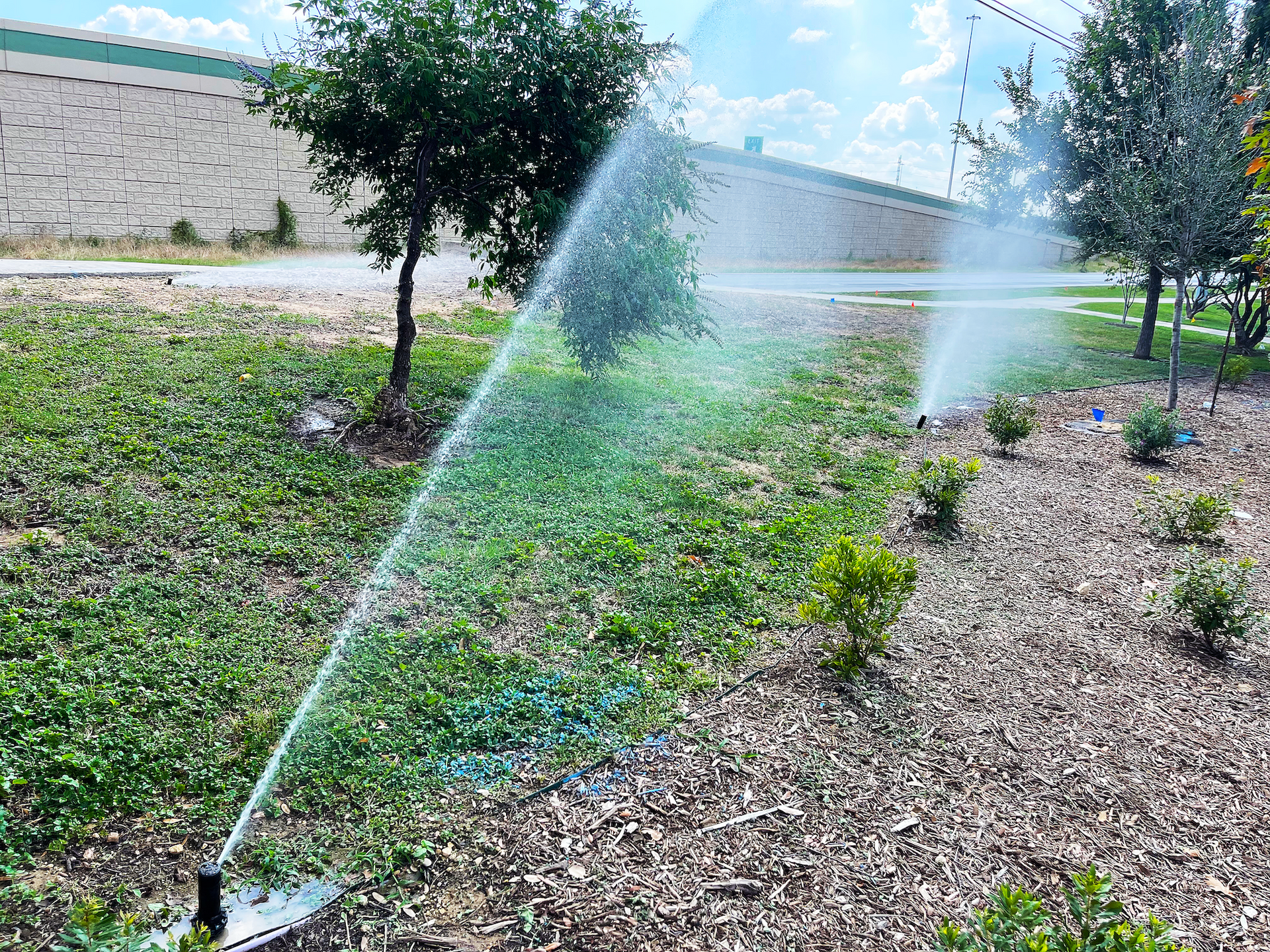 Sprinklers watering a green, landscaped area with small bushes and mulch, in front of a building.